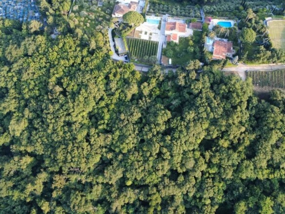 Plac u Savinskoj Dubravi, Herceg Novi — fotografija 12