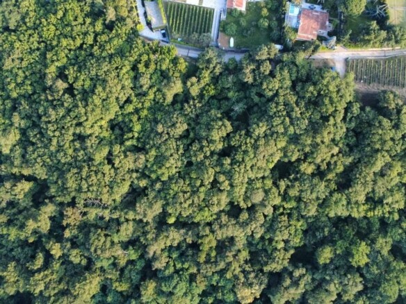Plac u Savinskoj Dubravi, Herceg Novi — fotografija 13