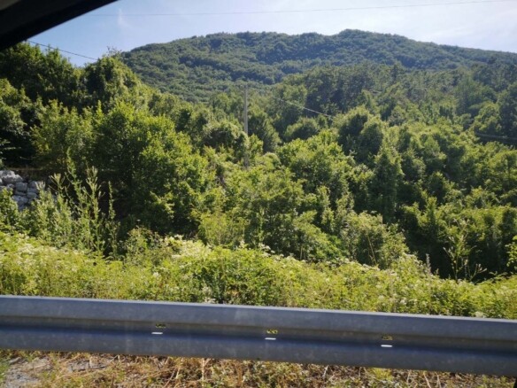 Plac u Obzovici, Cetinje, okružen bukovom i borovom šumom — fotografija 15
