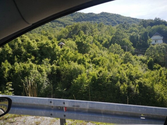 Plac u Obzovici, Cetinje, okružen bukovom i borovom šumom — fotografija 16