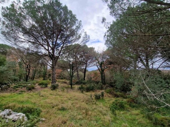 Plac od 1150 m² u Zagori, Kotor — fotografija 2