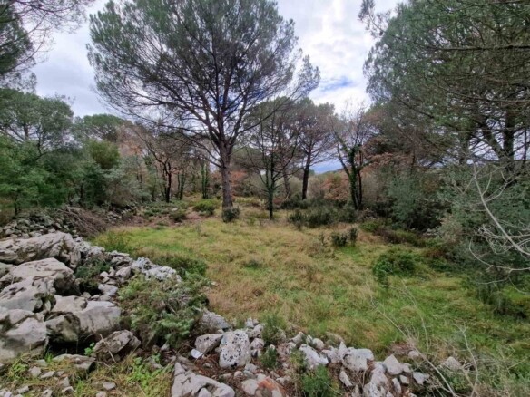 Plac od 1150 m² u Zagori, Kotor — fotografija 4