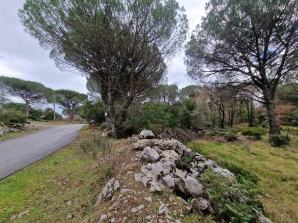 Plac od 1150 m² u Zagori, Kotor — fotografija 5