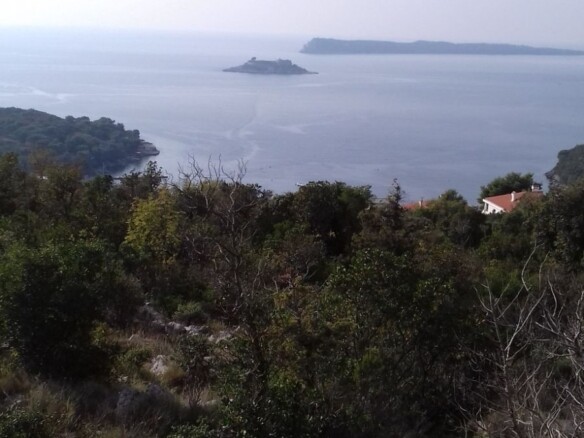 Plac sa pogledom na more, Žanjic, Luštica — fotografija 4
