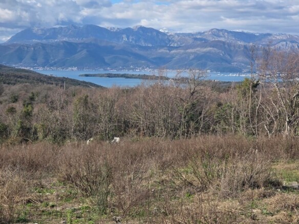 Plac 4.254 m² – Lješevići, Kotor — fotografija 12