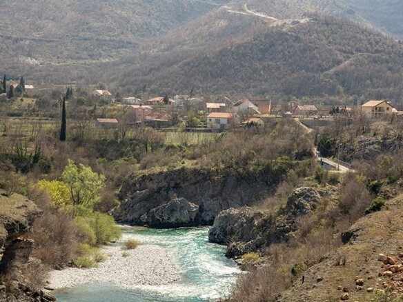 Plac sa maslinama u Biočama, Podgorica — fotografija 2