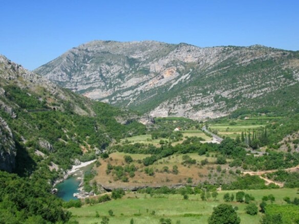 Plac sa maslinama u Biočama, Podgorica — fotografija 3
