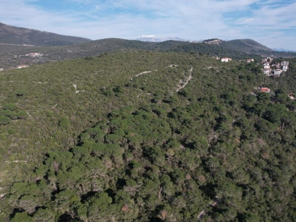 Plac 6.500 m² – Mirište, Herceg Novi — fotografija 8