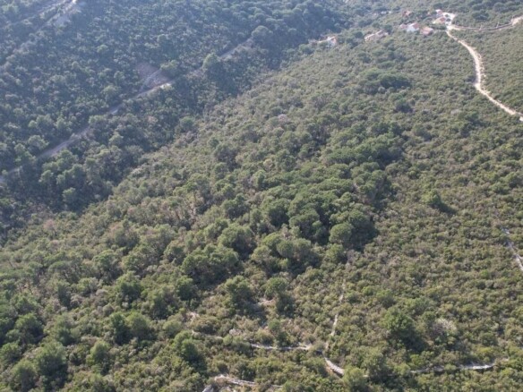 Plac 6.500 m² – Mirište, Herceg Novi — fotografija 14