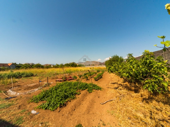 Plac 3.000 m² – Golubovci, Podgorica — fotografija 7