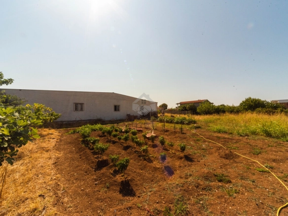 Plac 3.000 m² – Golubovci, Podgorica — fotografija 8