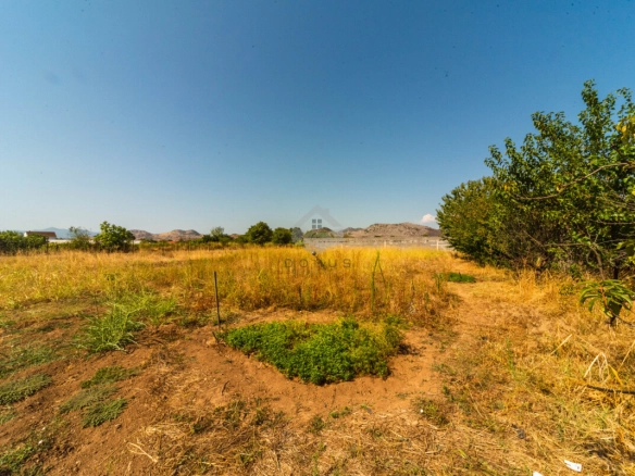 Plac 3.000 m² – Golubovci, Podgorica — fotografija 9