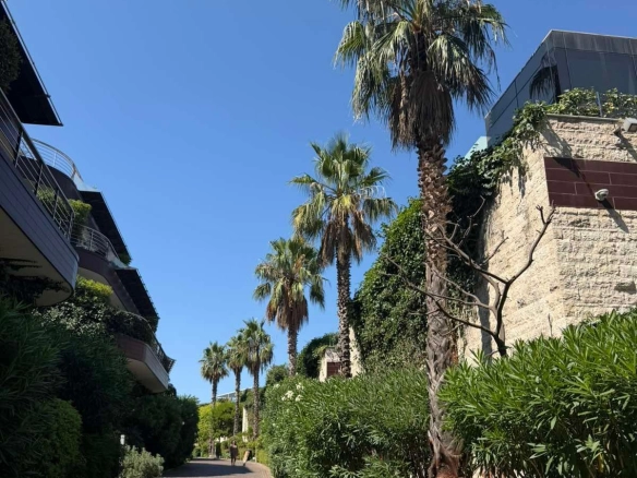 Izdavanje: Dvosoban stan 156 m² – Budva — fotografija 11