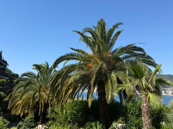 Izdavanje: Dvosoban stan 156 m² – Budva — fotografija 13