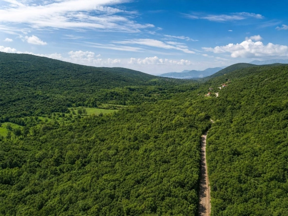 Plac 1.000 m² – Kovači, Kotor — fotografija 4