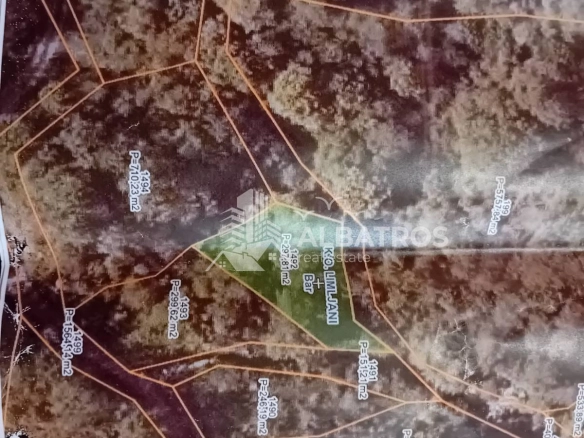 Plac 50.000 m² – Bar — fotografija 2