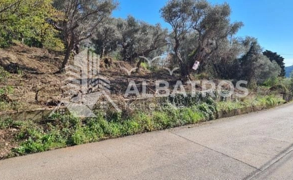 Plac 800 m² – Bar — fotografija 4