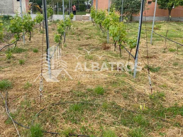 Plac 1.000 m² – Tomba, Bar — fotografija 4
