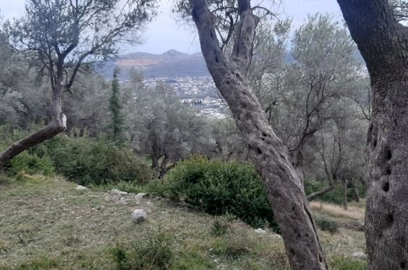 Plac 1.604 m² – Velembusi, Bar — fotografija 2