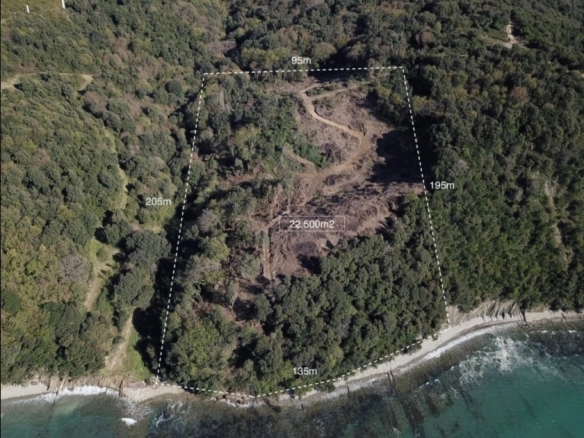 Plac 22.000 m² – Komina, Bar — fotografija 4