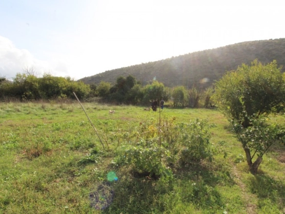 Kuća sa prostranim placom u naselju Polje, Bar — fotografija 8