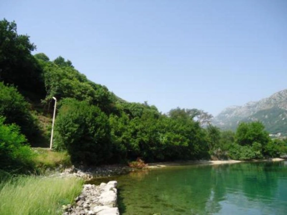 Plac uz more u Koštanjici, Kotor — fotografija 3