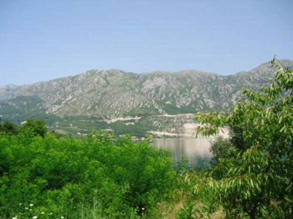 Plac uz more u Koštanjici, Kotor — fotografija 5