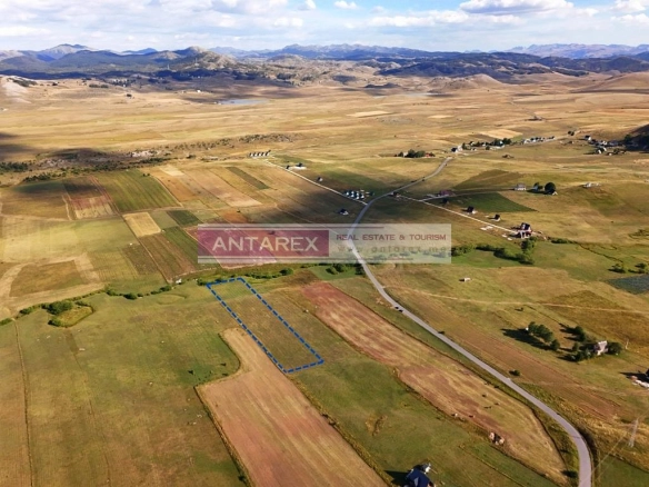 Plac 5.435 m² – Žabljak — fotografija 2
