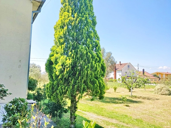 Kuća 220 m² – Podgorica — fotografija 4