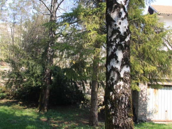 Plac 39.500 m² – Nikšić — fotografija 2