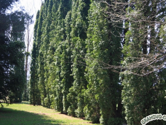 Plac 39.500 m² – Nikšić — fotografija 3