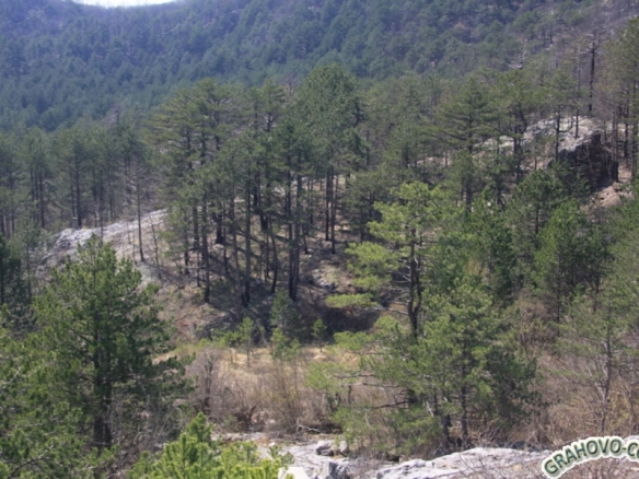 Plac 39.500 m² – Nikšić — fotografija 6