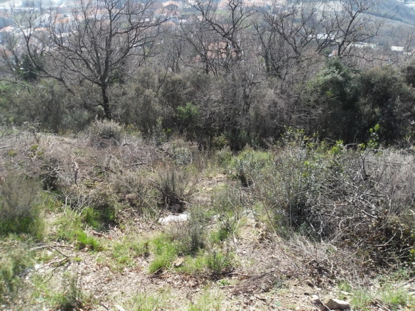 Plac 375 m² – Gomila, Herceg Novi — fotografija 3