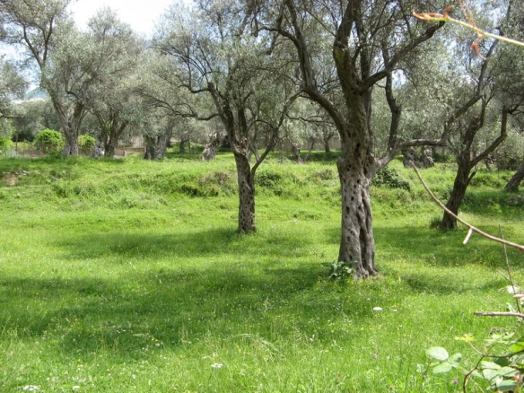 Plac 3.490 m² – Stari Bar, Bar — fotografija 2