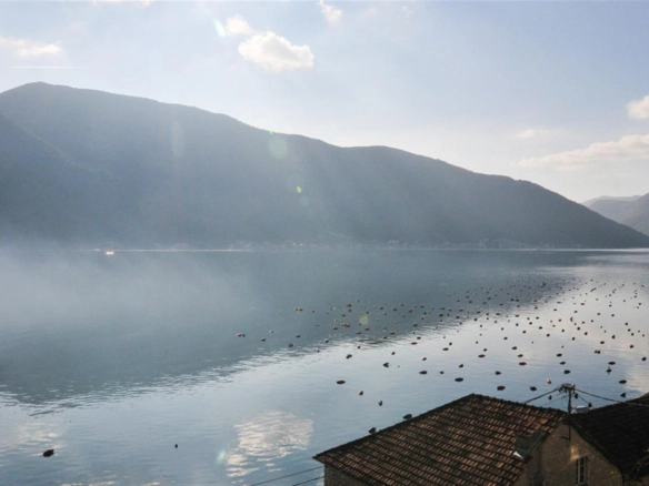 Kuća 320 m² – Kotor — fotografija 4