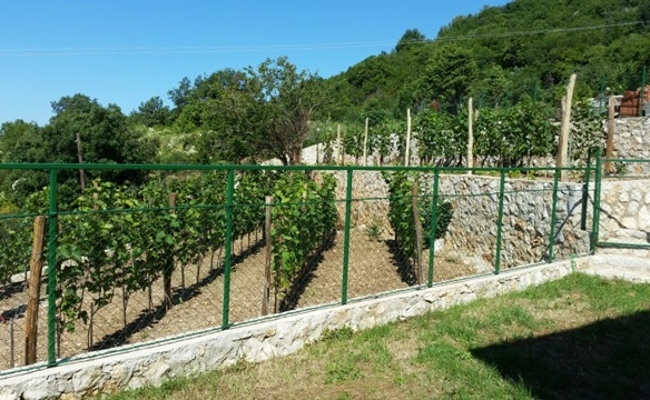 Kuća 400 m² – Šušanj, Bar — fotografija 6