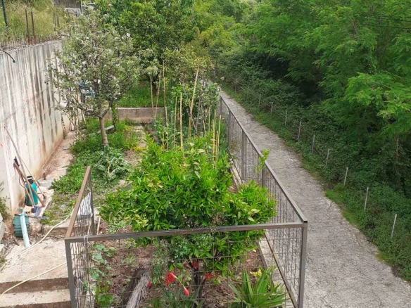Hotel 550 m² – Zelenika, Herceg Novi — fotografija 3