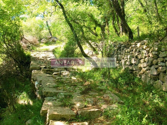 Jednosoban stan 53 m² – Topla, Herceg Novi — fotografija 14