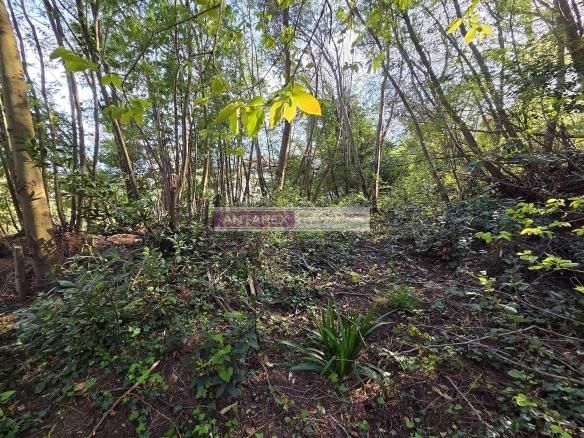 Plac 1.601 m² – Bijela, Herceg Novi — fotografija 4