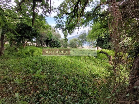 Plac 1.794 m² – Đenovići, Herceg Novi — fotografija 3