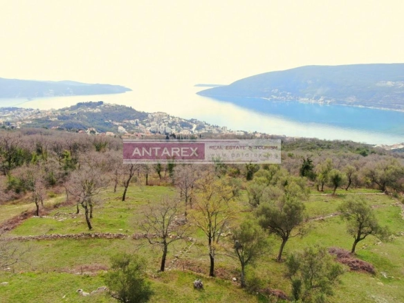 Plac 1.362 m² – Herceg Novi — fotografija 3
