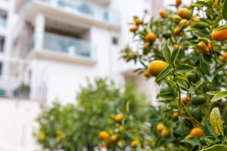 Kuća 400 m² – Bečići, Budva — fotografija 19