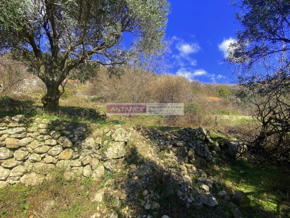 Plac 571 m² – Herceg Novi — fotografija 7