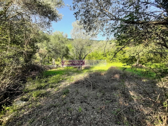 Plac 1.350 m² – Kavač, Kotor — fotografija 2