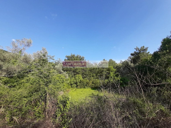Plac 1.350 m² – Kavač, Kotor — fotografija 3