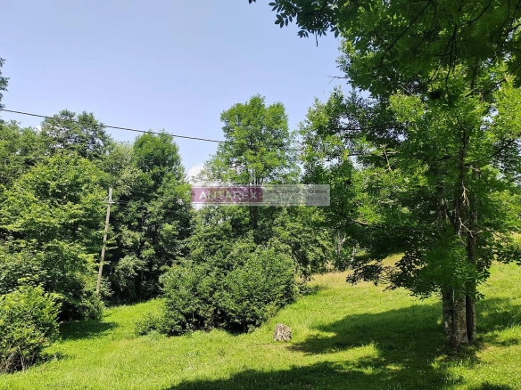 Plac 1.313 m² – Kolašin — fotografija 3