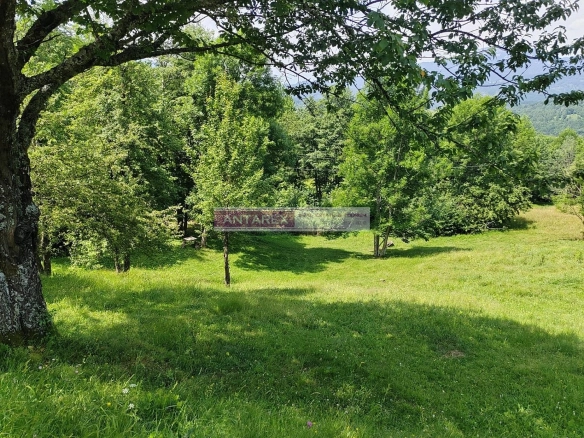 Plac 1.313 m² – Kolašin — fotografija 4