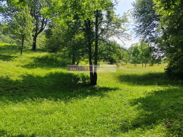 Plac 1.313 m² – Kolašin — fotografija 5