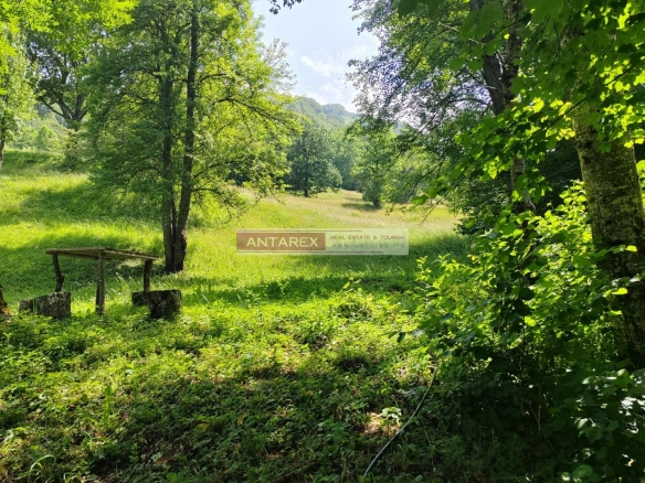 Plac 1.313 m² – Kolašin — fotografija 6