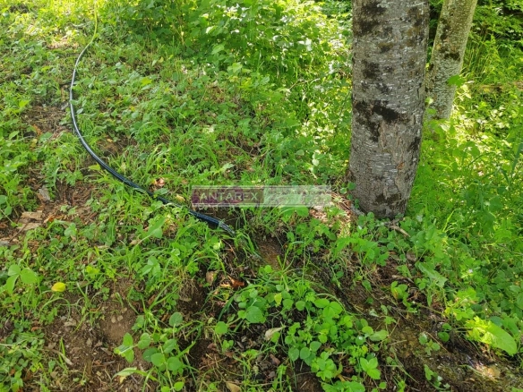 Plac 1.313 m² – Kolašin — fotografija 9